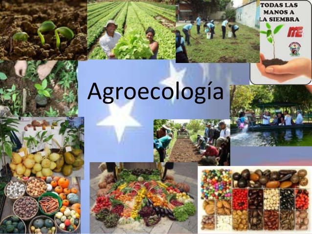 agroecologia-1-638