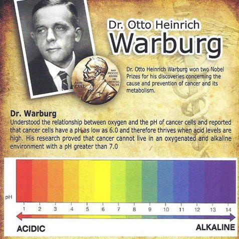 Dr_-Otto-Heinrich-Warburg-1