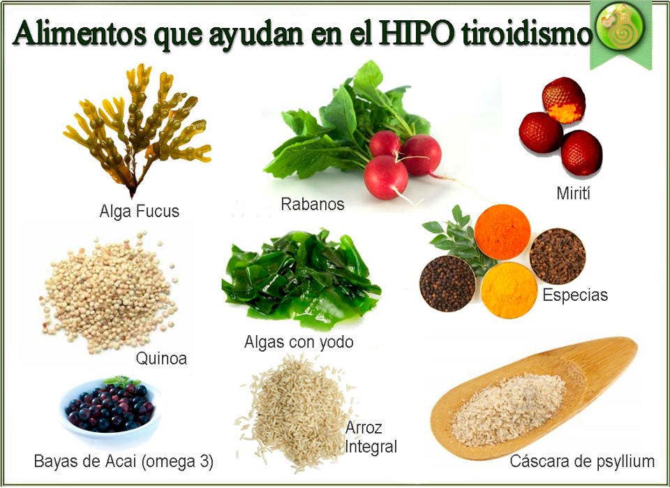 alimentos_para_hipotiroidismo