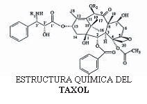estructura quimica del taxol